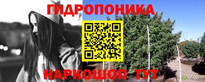 ГАЛЛЮЦИНОГЕННЫЕ ГРИБЫ Рузаевка