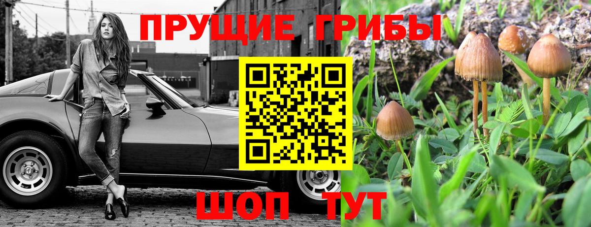 Псилоцибиновые грибы Cubensis Соликамск